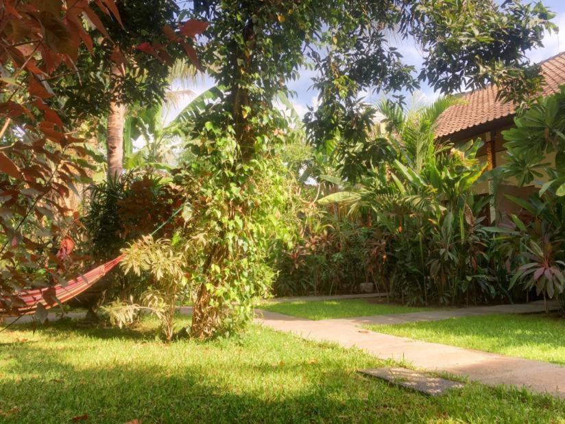 Mango Moon Hotell Pemuteran Exteriör bild